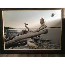 Costal Conflict by W Allan Hancock